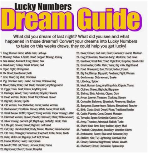 Lucky Numbers and Fafi Dream Guide South Africa .